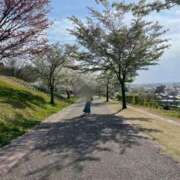 ヒメ日記 2025/04/19 07:53 投稿 ゆの アラモード