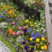 ヒメ日記 2025/05/13 18:43 投稿 ゆの アラモード