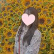 ヒメ日記 2025/08/18 09:35 投稿 ゆの アラモード