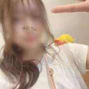 ヒメ日記 2025/08/31 20:07 投稿 ゆの アラモード