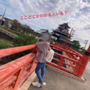 ヒメ日記 2025/11/06 08:48 投稿 ゆの アラモード