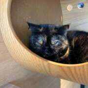 ヒメ日記 2025/04/15 08:16 投稿 ゆめ One More 奥様　西船橋店