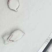 ヒメ日記 2026/02/08 09:24 投稿 ゆめ One More 奥様　西船橋店