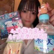 ヒメ日記 2025/04/26 18:26 投稿 くるみ ピュアコス学園