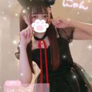 ヒメ日記 2025/04/27 08:29 投稿 くるみ ピュアコス学園