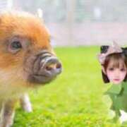 ヒメ日記 2025/08/19 20:11 投稿 くるみ ピュアコス学園