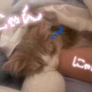 ヒメ日記 2026/02/02 18:54 投稿 くるみ ピュアコス学園