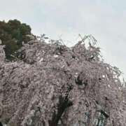 ヒメ日記 2025/03/28 15:18 投稿 はる ときめき青春ロリ学園～東京乙女組 池袋校