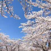 ヒメ日記 2025/04/06 12:54 投稿 ひな 超密着癒し性感メンズエステ(米沢)