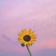 ヒメ日記 2025/06/19 09:09 投稿 ひな 超密着癒し性感メンズエステ(米沢)