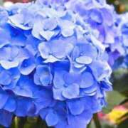 ヒメ日記 2025/07/02 09:32 投稿 ひな 超密着癒し性感メンズエステ(米沢)