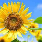 ヒメ日記 2025/07/24 11:17 投稿 ひな 超密着癒し性感メンズエステ(米沢)