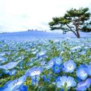 ヒメ日記 2025/08/07 16:19 投稿 ひな 超密着癒し性感メンズエステ(米沢)