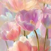 ヒメ日記 2025/10/17 18:21 投稿 ひな 超密着癒し性感メンズエステ(米沢)