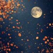 ひな 久々に✨🧡 超密着癒し性感メンズエステ(米沢)