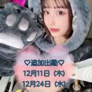 ヒメ日記 2025/11/04 21:26 投稿 元地下アイドル『かなはっち』 GOOD-グッド-