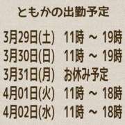 ヒメ日記 2025/03/28 14:03 投稿 ともか クラブレア南大阪
