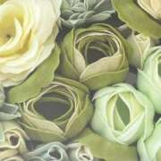 ヒメ日記 2025/04/01 14:48 投稿 ともか クラブレア南大阪