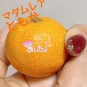 ヒメ日記 2025/06/30 13:02 投稿 ともか クラブレア南大阪