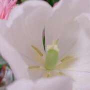 ヒメ日記 2026/02/07 10:01 投稿 ともか クラブレア南大阪