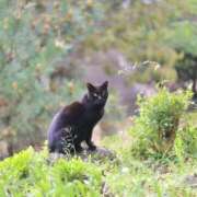 ヒメ日記 2026/02/24 10:02 投稿 ともか クラブレア南大阪