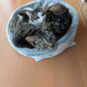 ヒメ日記 2024/12/17 08:25 投稿 土田 MadameRest(マダムレスト)