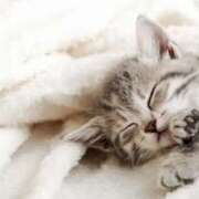 ヒメ日記 2025/01/14 01:22 投稿 土田 MadameRest(マダムレスト)