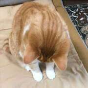 ヒメ日記 2025/01/21 08:27 投稿 土田 MadameRest(マダムレスト)