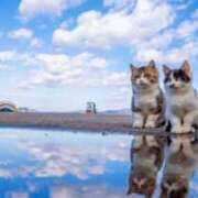 ヒメ日記 2025/01/25 13:47 投稿 土田 MadameRest(マダムレスト)