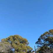 ヒメ日記 2025/02/25 11:48 投稿 土田 MadameRest(マダムレスト)