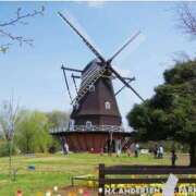 ヒメ日記 2025/02/26 07:50 投稿 土田 MadameRest(マダムレスト)