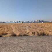 ヒメ日記 2025/03/01 12:34 投稿 土田 MadameRest(マダムレスト)