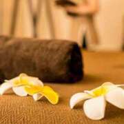 ヒメ日記 2025/03/04 10:21 投稿 土田 MadameRest(マダムレスト)