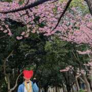 ヒメ日記 2025/03/06 11:20 投稿 土田 MadameRest(マダムレスト)