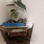 ヒメ日記 2025/03/11 04:19 投稿 土田 MadameRest(マダムレスト)