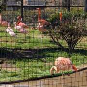 ヒメ日記 2025/03/11 07:39 投稿 土田 MadameRest(マダムレスト)