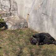 ヒメ日記 2025/03/12 15:27 投稿 土田 MadameRest(マダムレスト)