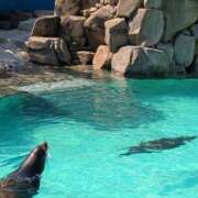 ヒメ日記 2025/03/14 04:48 投稿 土田 MadameRest(マダムレスト)