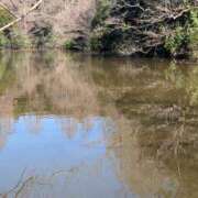 ヒメ日記 2025/03/20 06:38 投稿 土田 MadameRest(マダムレスト)