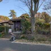 ヒメ日記 2025/03/24 10:50 投稿 土田 MadameRest(マダムレスト)