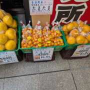 ヒメ日記 2025/03/27 10:32 投稿 土田 MadameRest(マダムレスト)