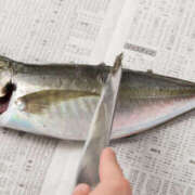 ヒメ日記 2025/03/29 15:30 投稿 土田 MadameRest(マダムレスト)