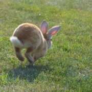 ヒメ日記 2025/04/01 10:14 投稿 土田 MadameRest(マダムレスト)