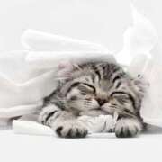 ヒメ日記 2025/04/10 11:22 投稿 土田 MadameRest(マダムレスト)