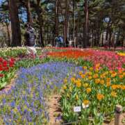 ヒメ日記 2025/04/12 21:24 投稿 土田 MadameRest(マダムレスト)