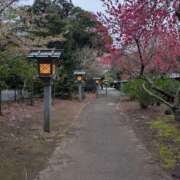 ヒメ日記 2025/04/14 04:48 投稿 土田 MadameRest(マダムレスト)