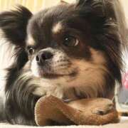 ヒメ日記 2025/04/16 04:51 投稿 土田 MadameRest(マダムレスト)