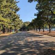 ヒメ日記 2025/05/04 10:44 投稿 土田 MadameRest(マダムレスト)