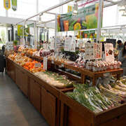 ヒメ日記 2025/06/06 10:20 投稿 土田 MadameRest(マダムレスト)