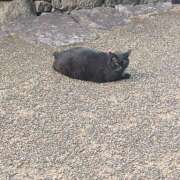 ヒメ日記 2025/07/01 13:59 投稿 土田 MadameRest(マダムレスト)